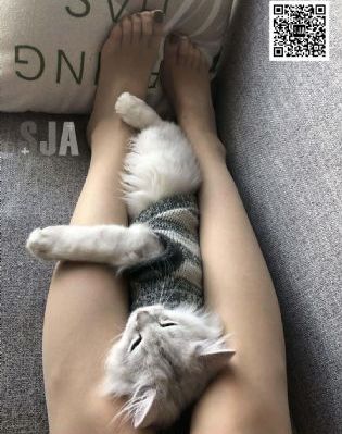 日本体内SHE精高潮_午夜在线观看完整版